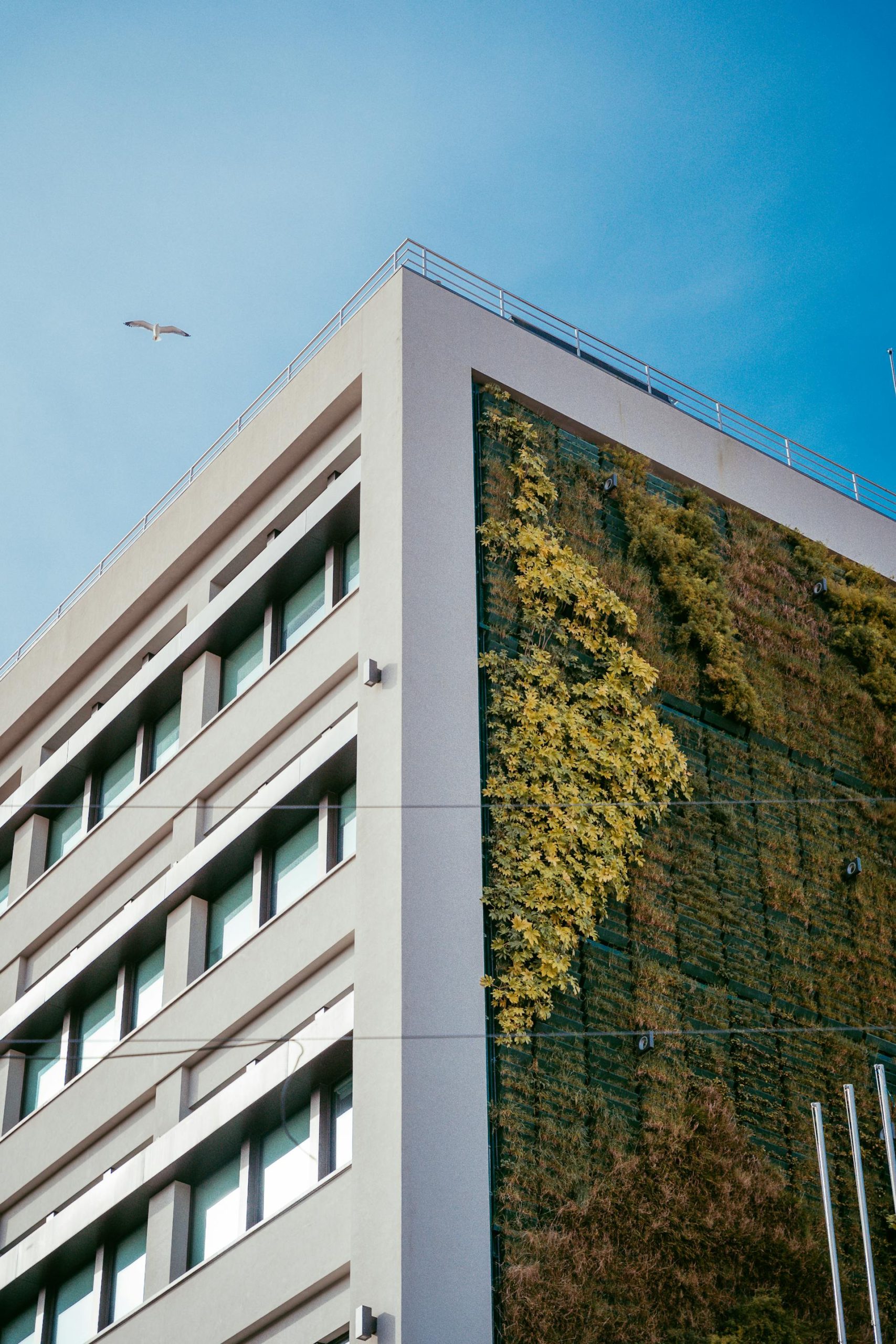 edificio manager sostenibile